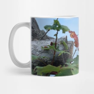 Changing of the seasons on the shores of Lake Superior Mug